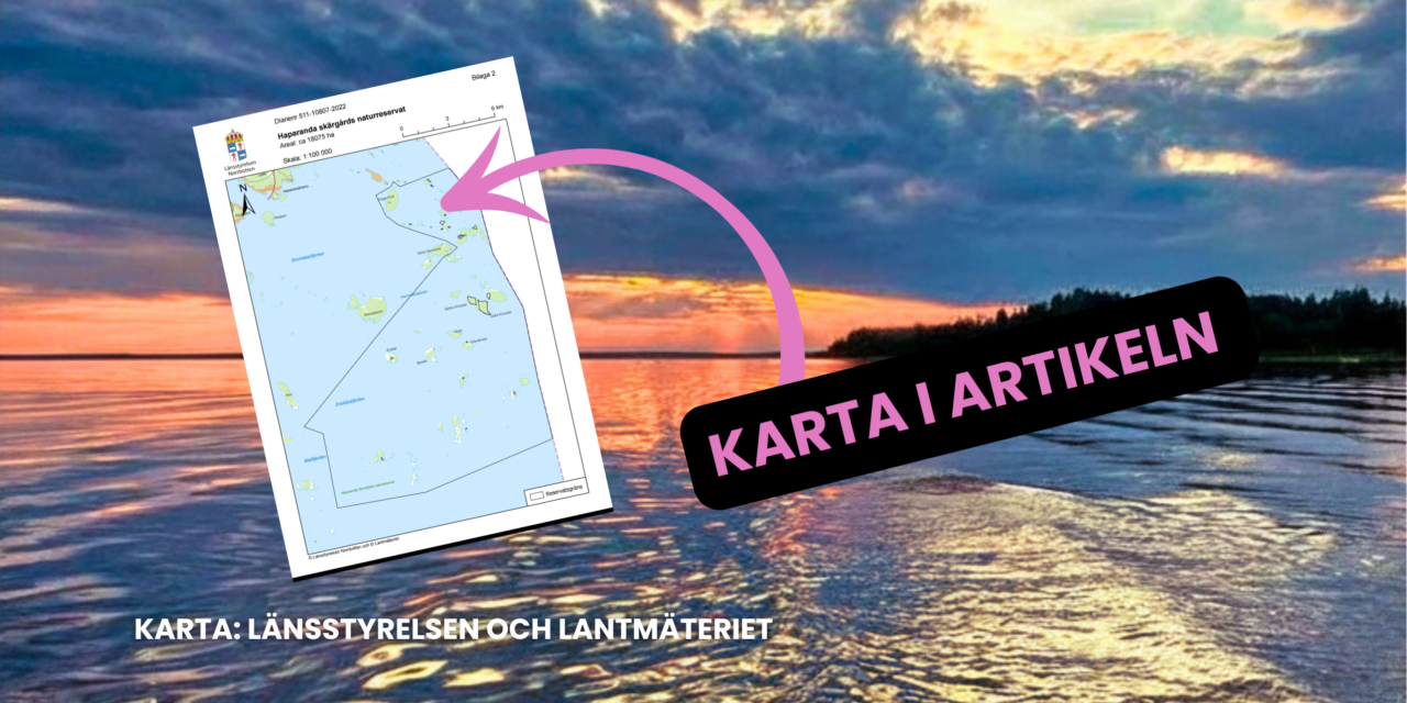 Oro för fisket i nya naturreservatet – Länsstyrelsen svarar på kritiken